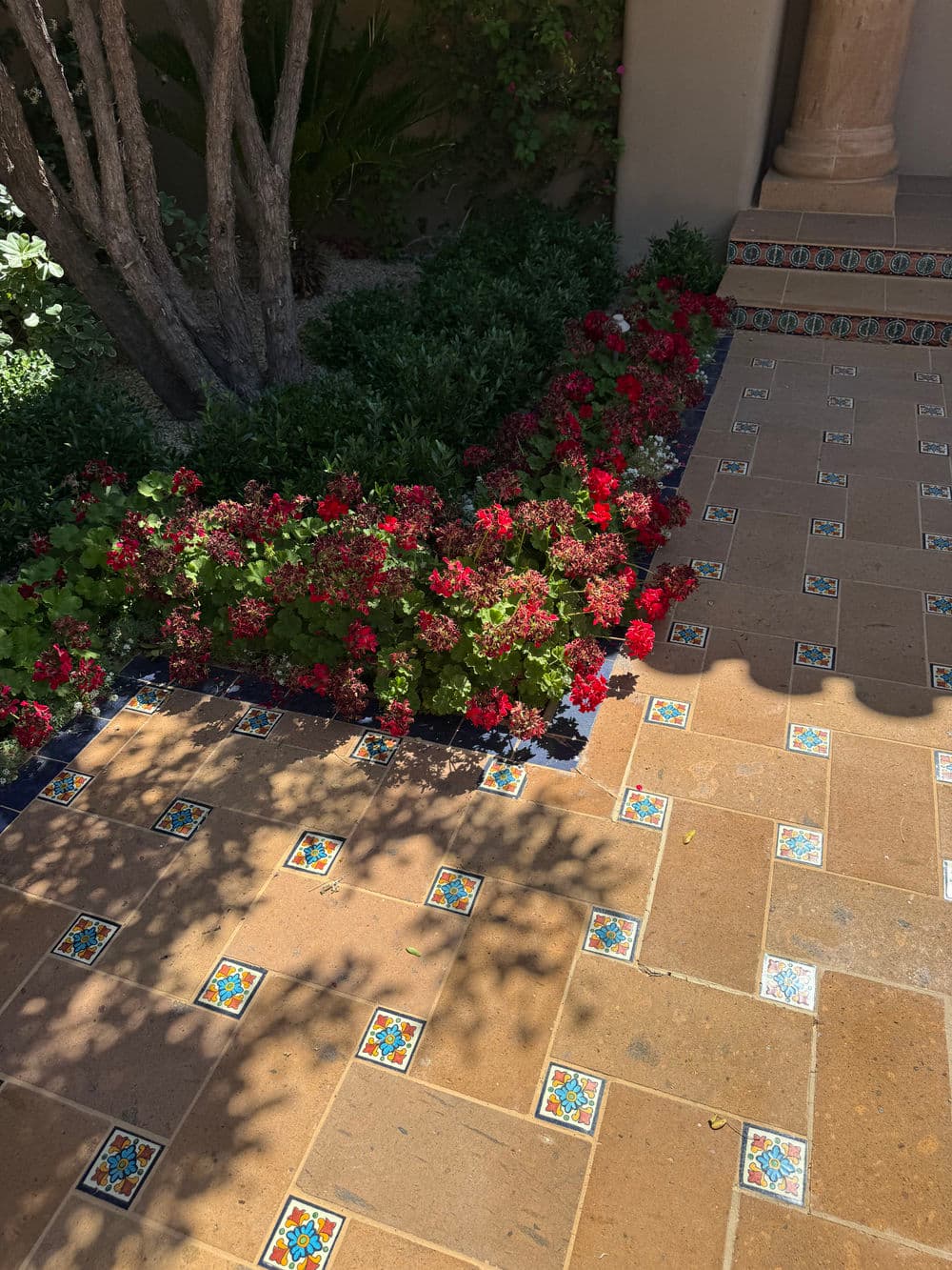 Colorful flowerbed with red geraniums along a patterned tiled walkway in a garden.