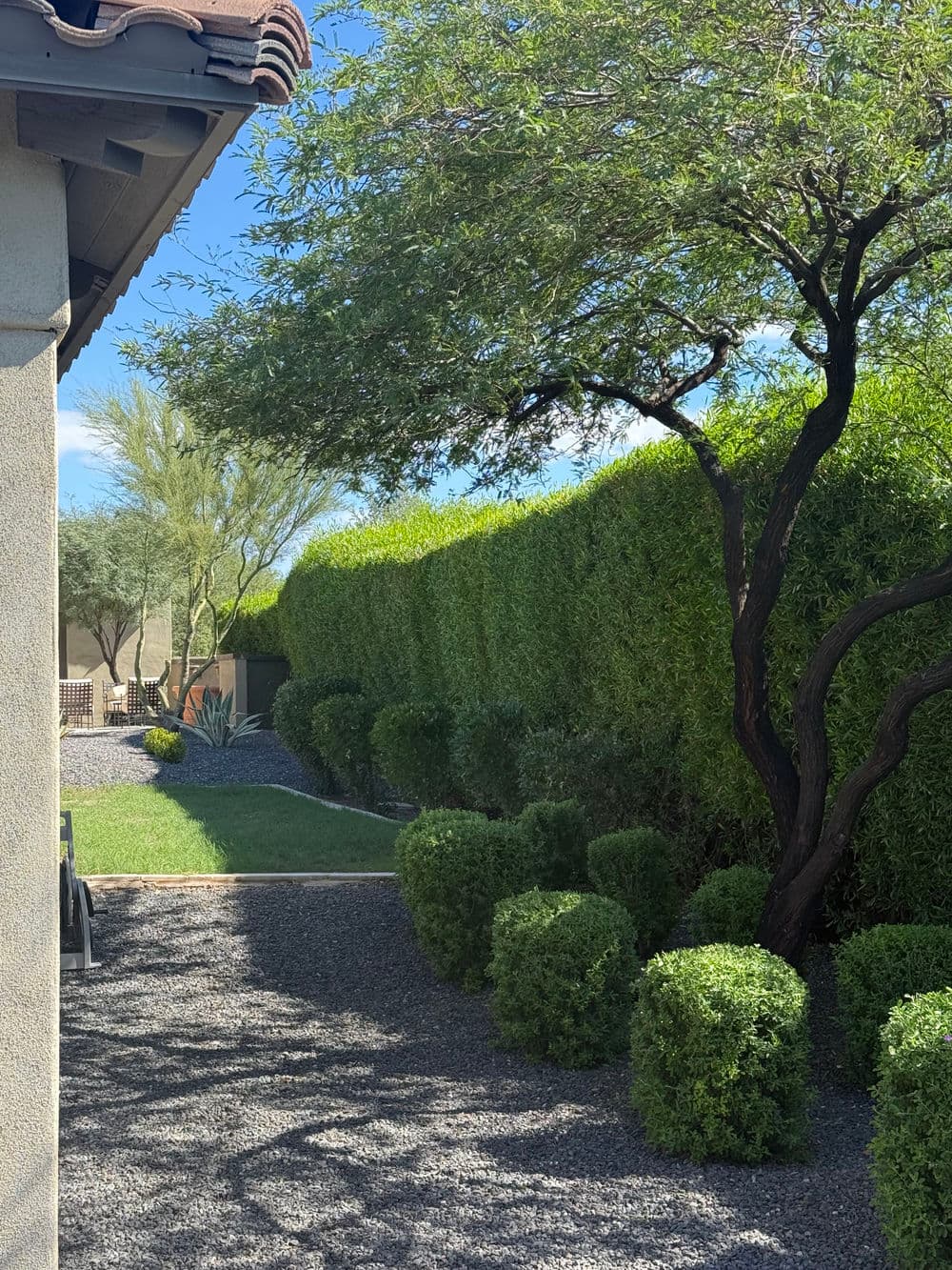 Lush green landscape with trimmed bushes and trees in a sunny garden setting.