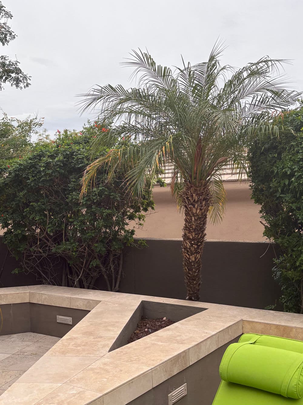 Lush garden scene featuring a palm tree and modern stone seating area with vibrant green lounge chair.
