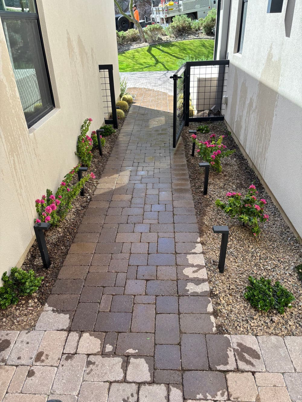 Paved pathway between two buildings, lined with pink flowers and modern landscape lighting.