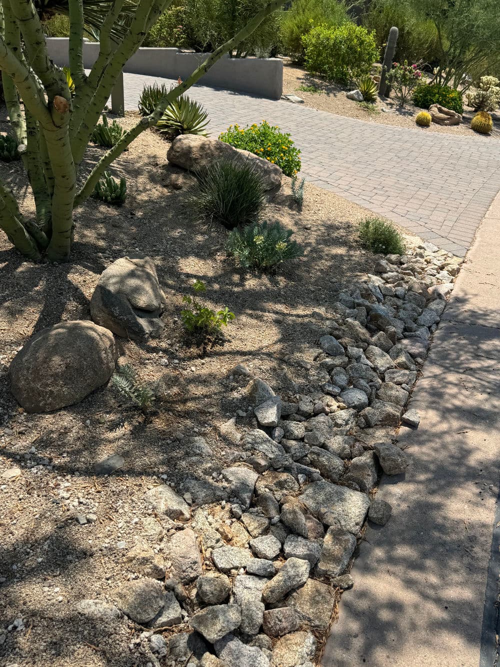 Desert landscape with rocks, shrubs, and pathways in a xeriscape garden setting.