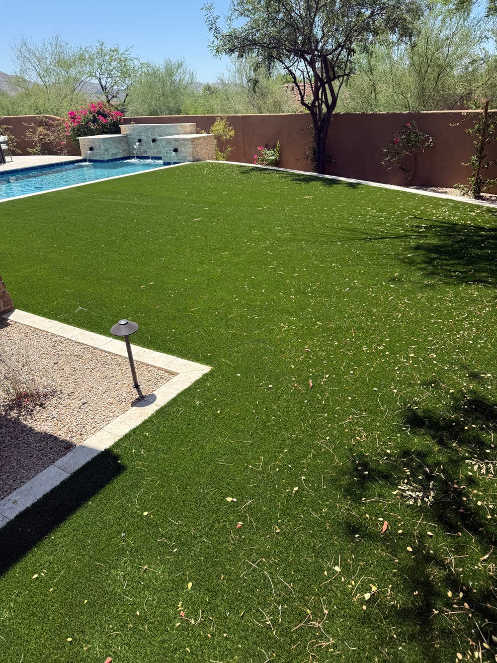 Lush green artificial turf lawn with pool and desert landscaping in sunny backyard.