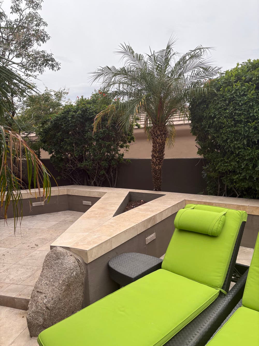 Lounge chairs by a pool surrounded by lush greenery and a palm tree.