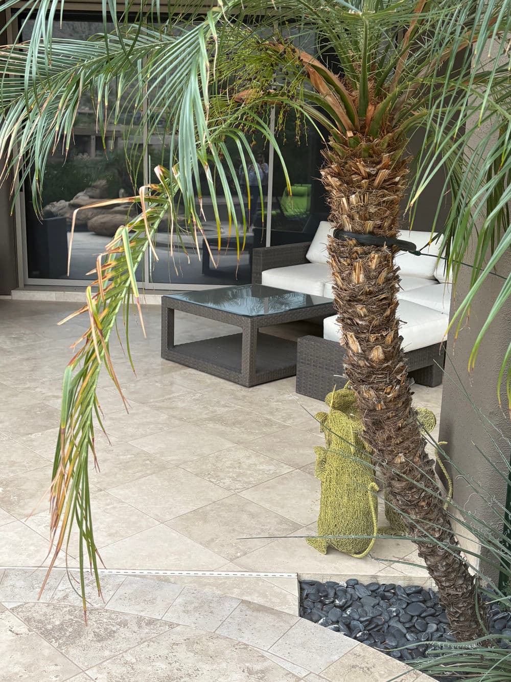 Tropical patio scene with palm tree, modern furniture, and decorative landscaping elements.