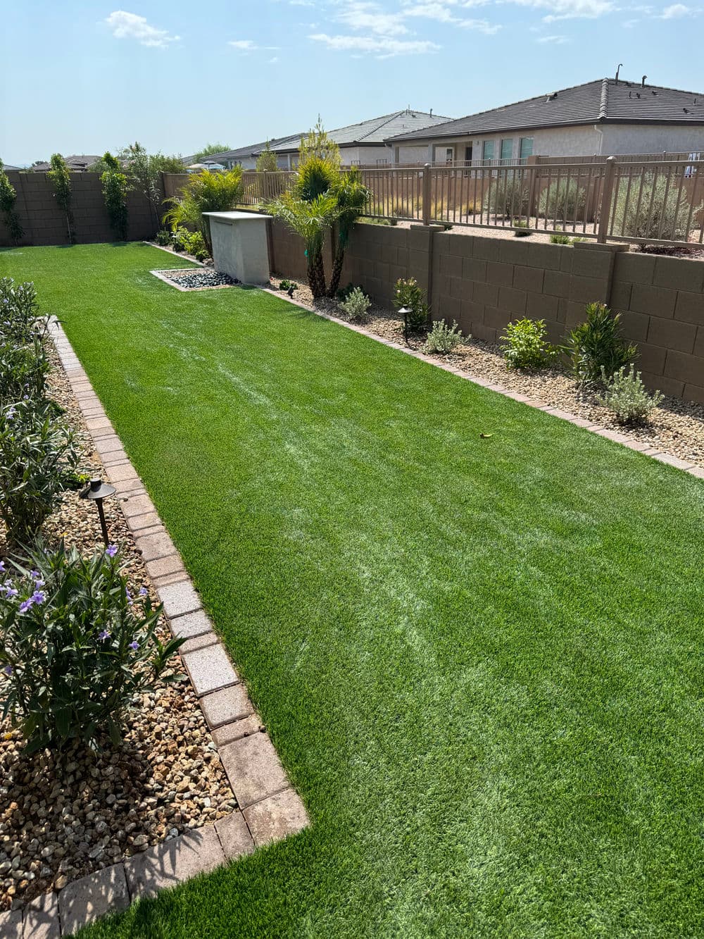 Lush green backyard with manicured lawn, stone pathways, and desert landscaping.