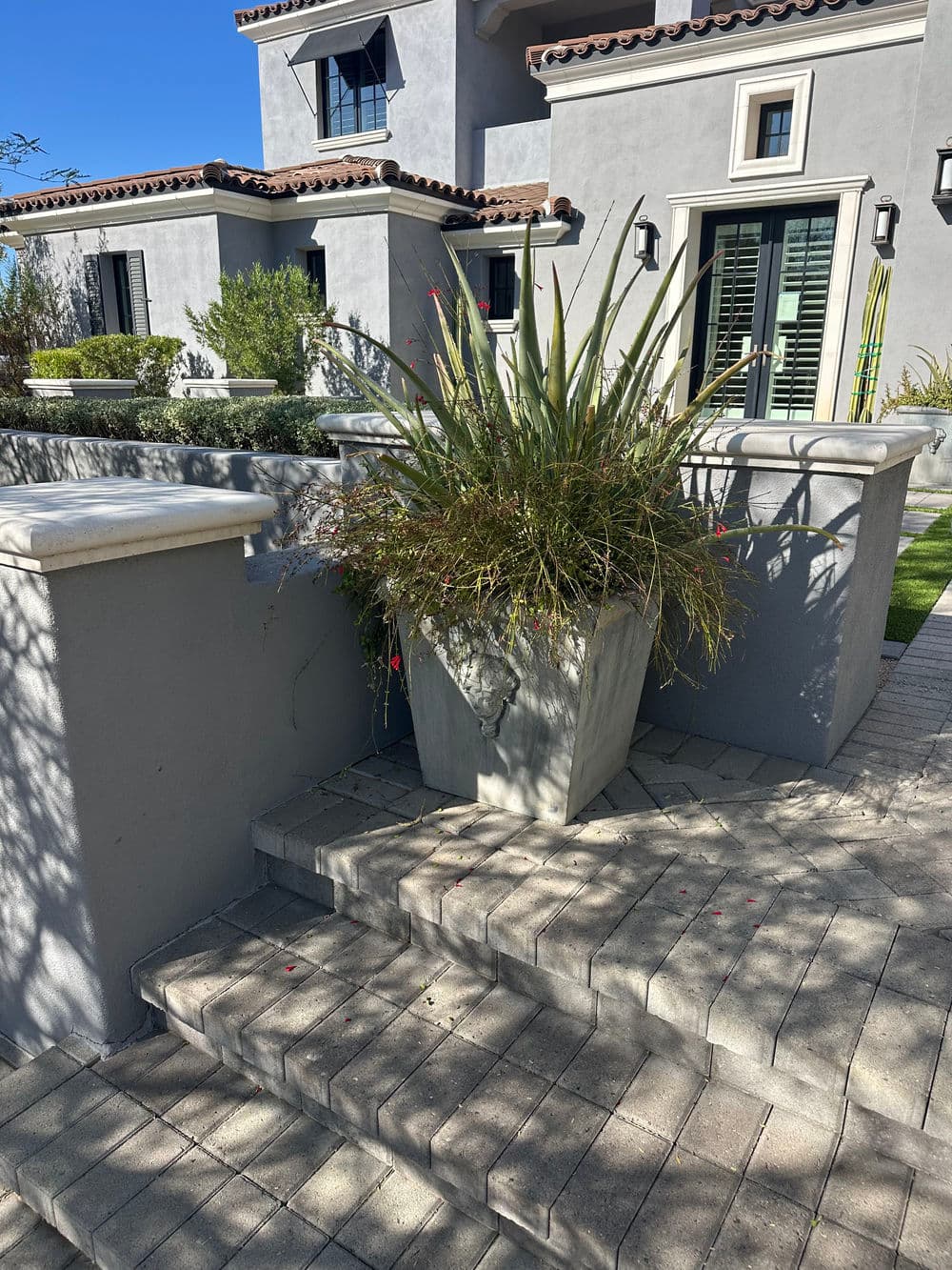 Large potted plant on stone steps beside a modern home with patio and greenery.