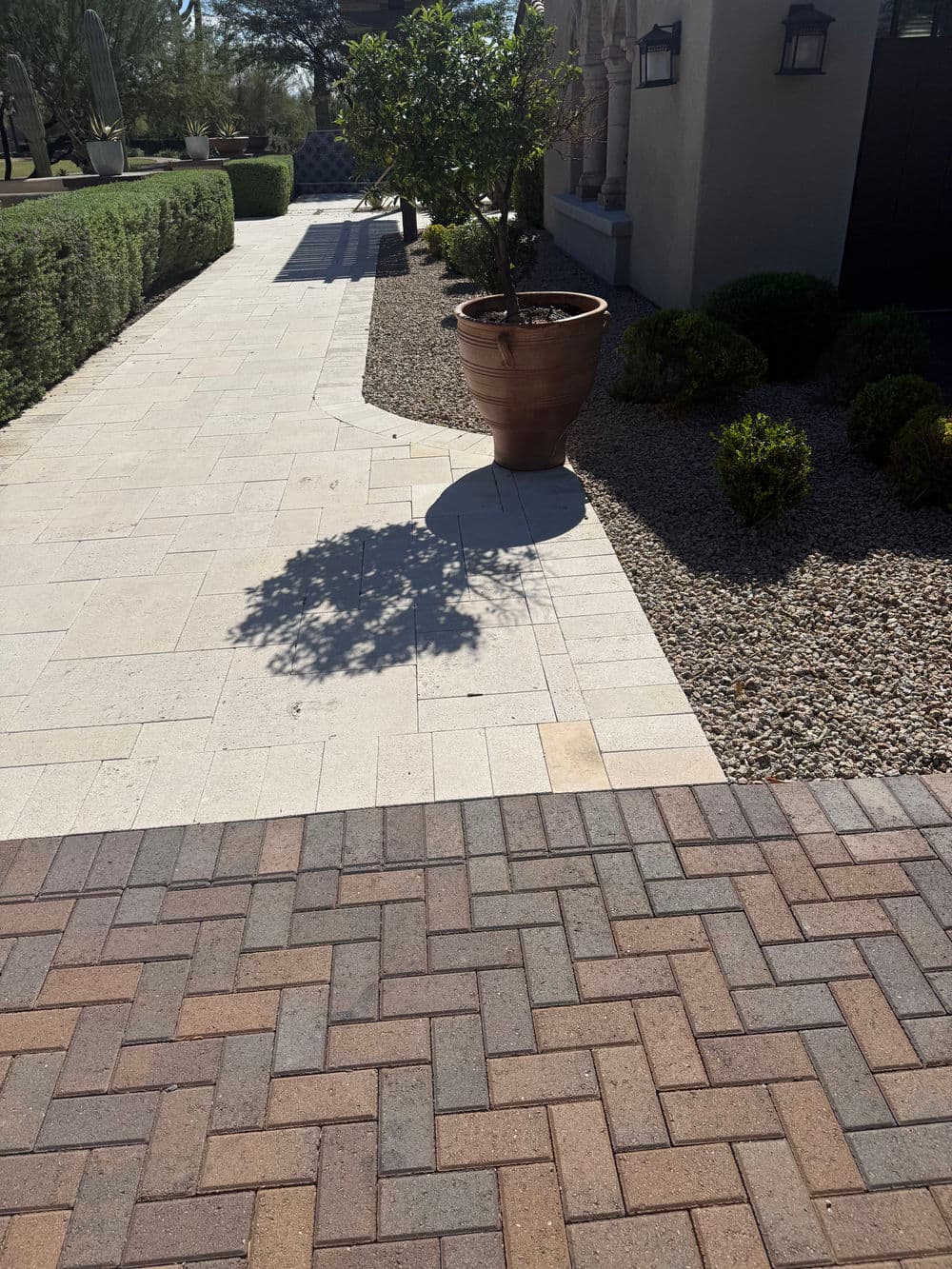 Paved walkway with decorative landscaping and a large potted plant casting a shadow.