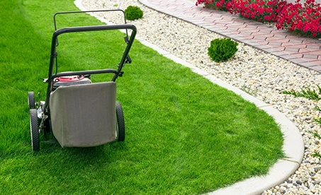 A lawn mower is sitting on the grass.