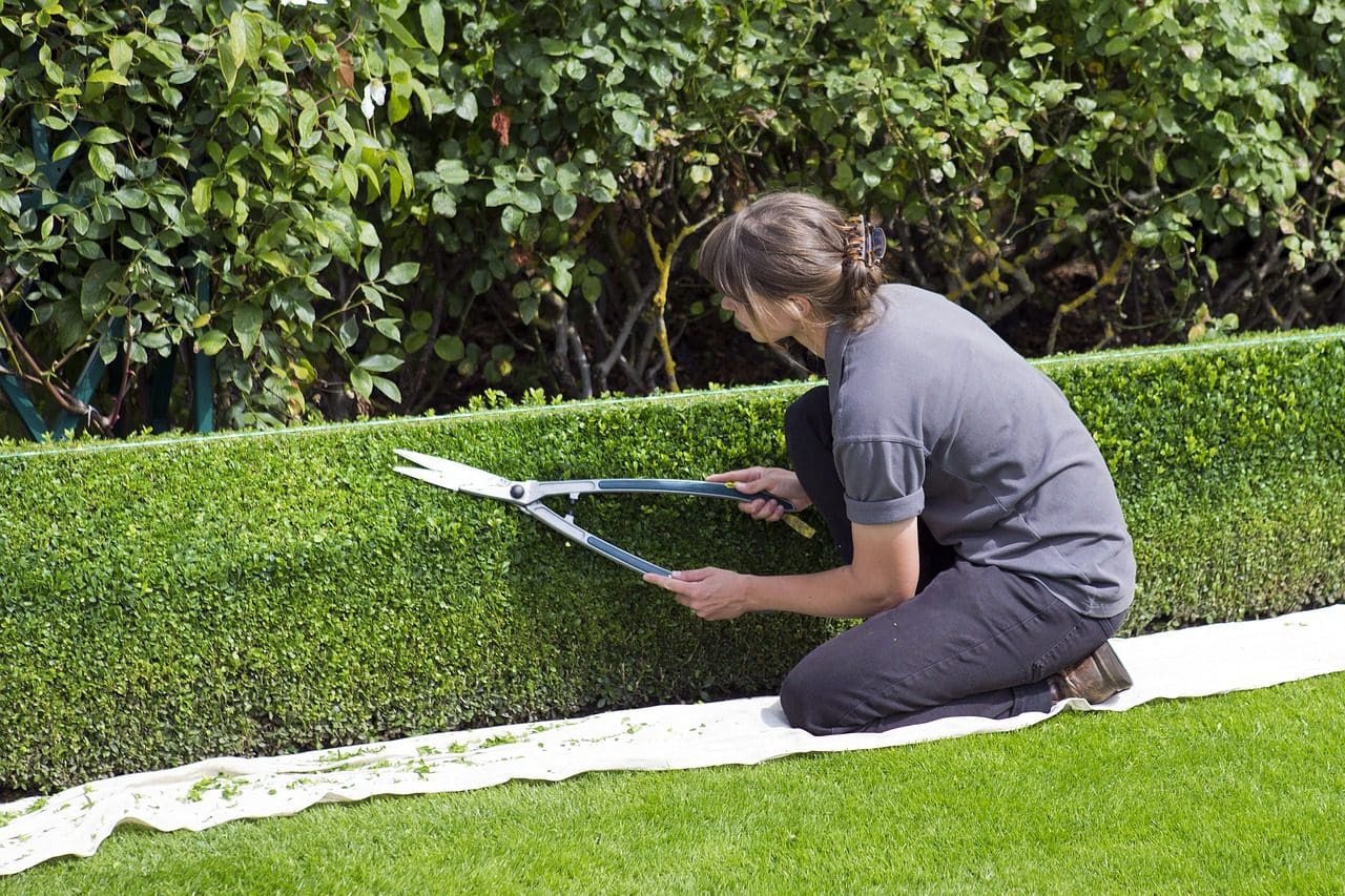 A person trimming the grass with scissors.