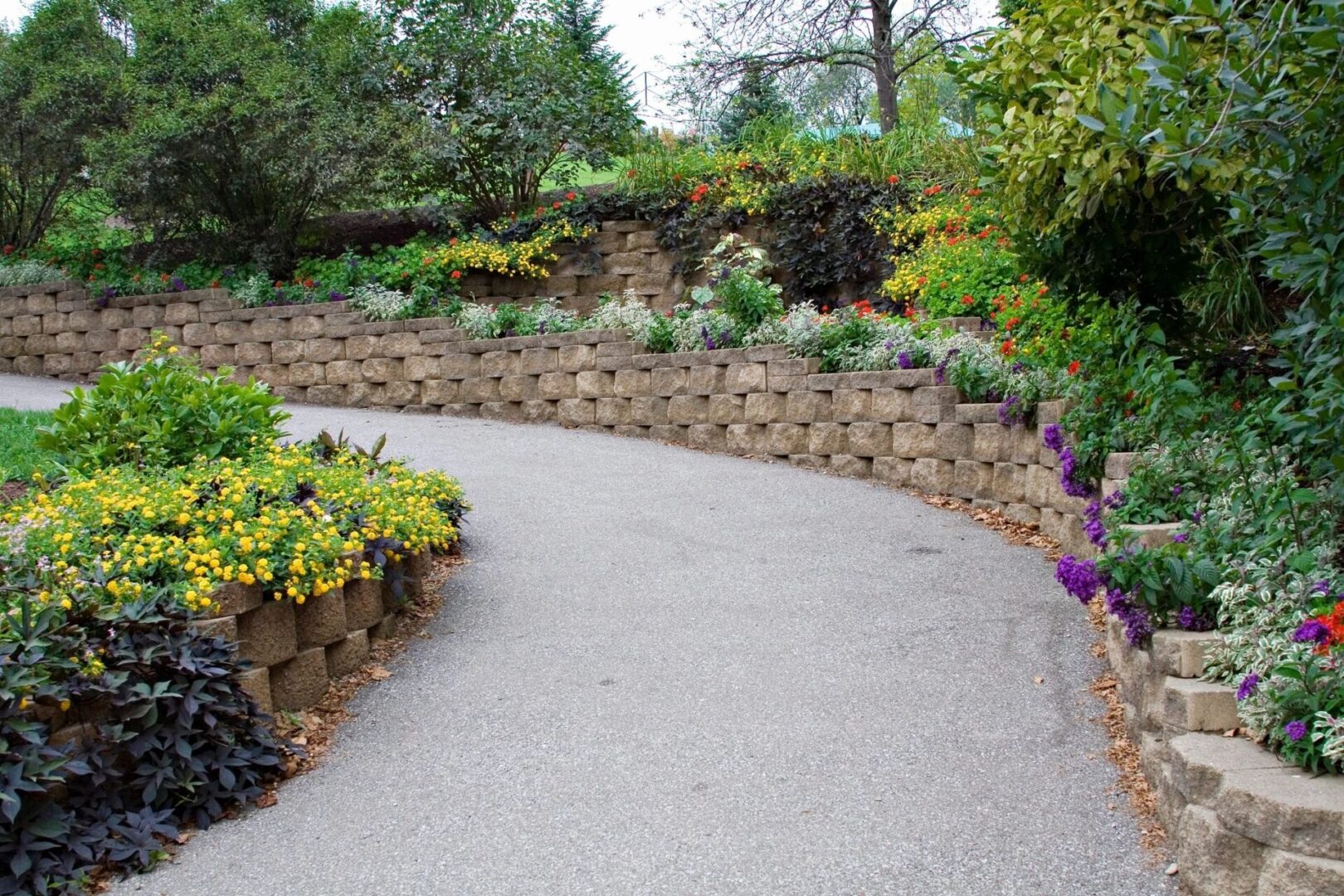 A curved walkway in the middle of a garden.