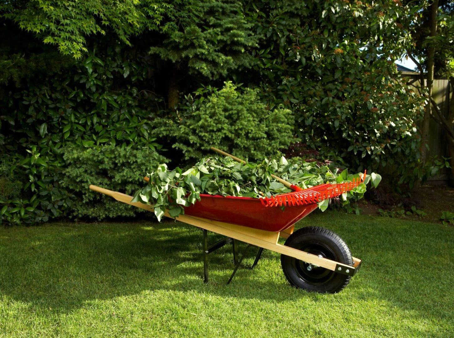 A red and yellow wheel barrow with some green plants in it