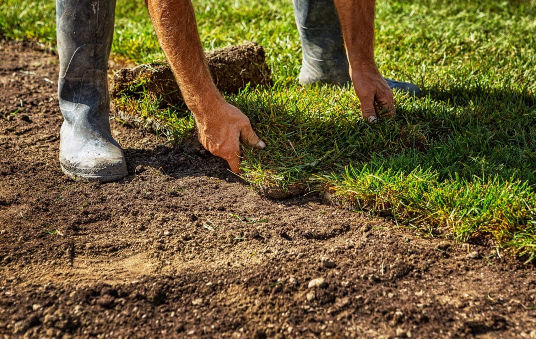 A person is touching grass with their hand.