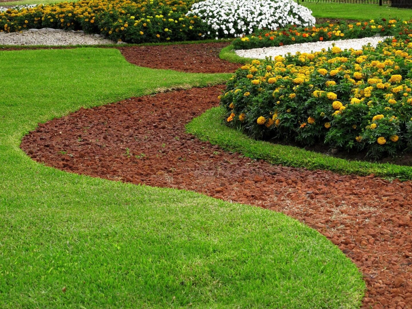 A garden with green grass and yellow flowers.