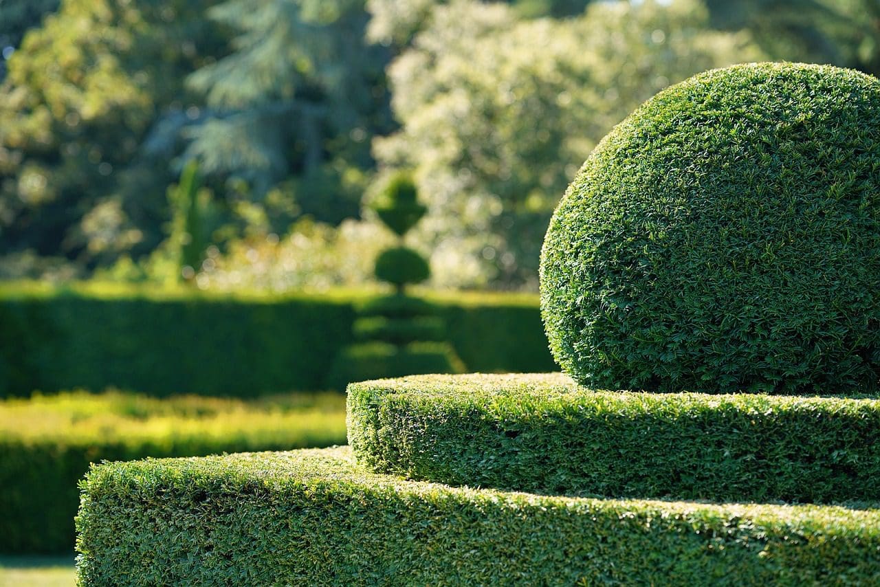 A close up of a ball in the middle of some bushes